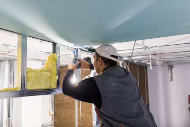 Best Commercial Insulation in Juarez, TX