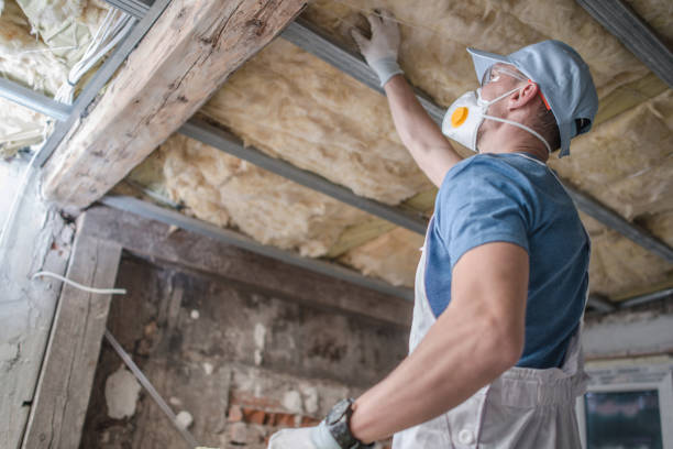 Best Insulation for Specific Applications in Juarez, TX