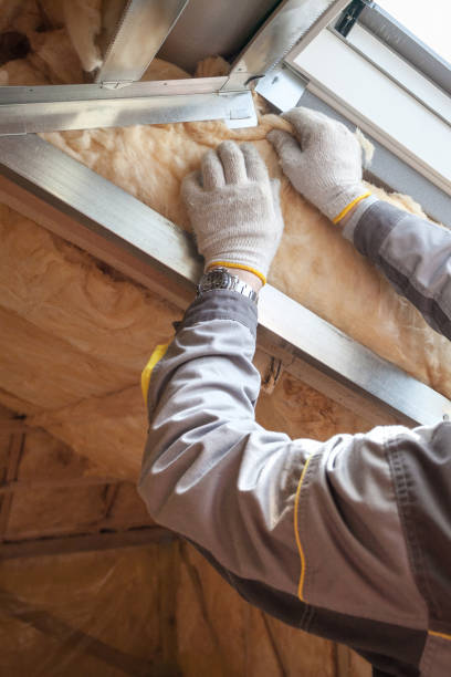 Best Insulation Maintenance and Repair in Juarez, TX